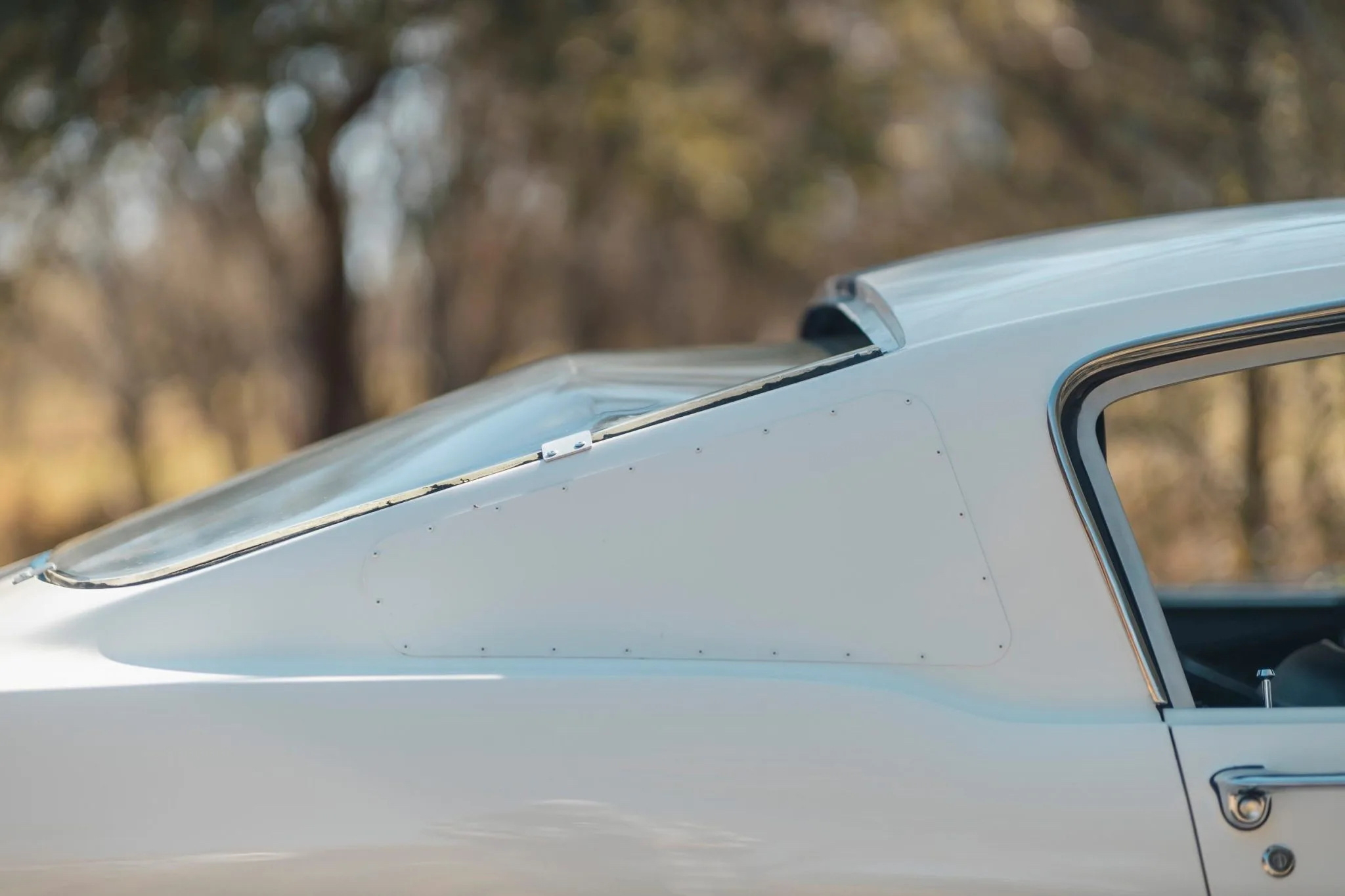 Shelby American promotional GT350R rear window profile